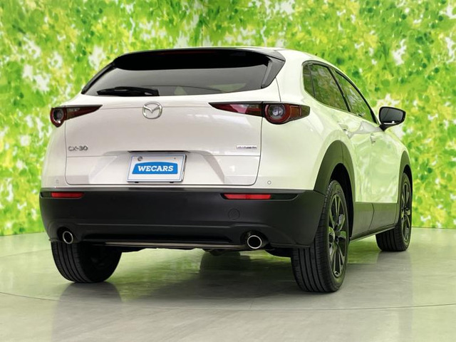 CX-302.0 20S ブラックトーンエディション