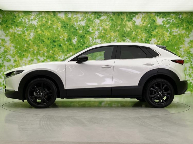 CX-302.0 20S ブラックトーンエディション