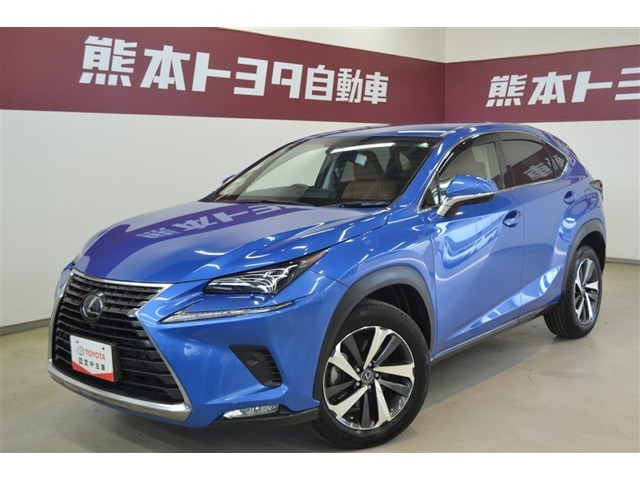 NX300 Iパッケージ