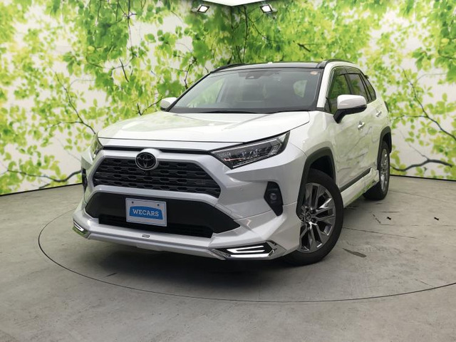 RAV42.0 G Zパッケージ 4WD