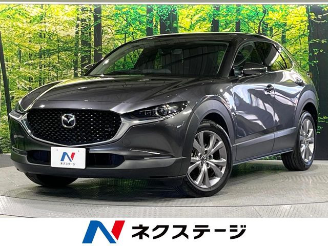 CX-301.8 XD プロアクティブ ツーリングセレクション