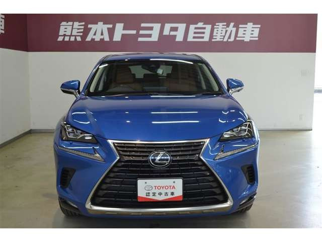 NX300 Iパッケージ