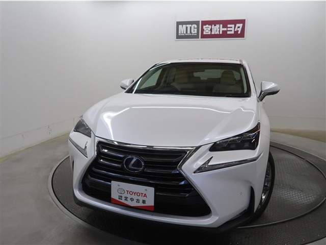 NX300h Iパッケージ