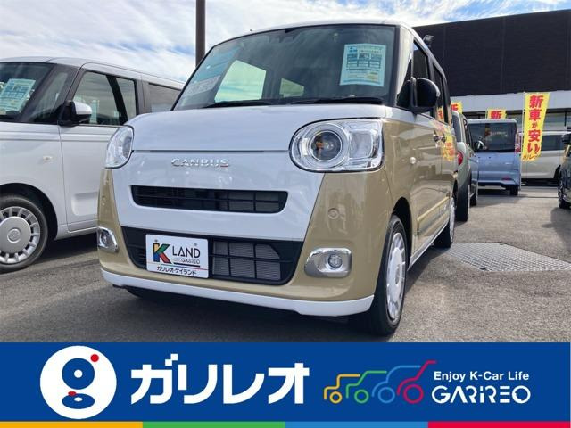 ムーヴキャンバスストライプス G