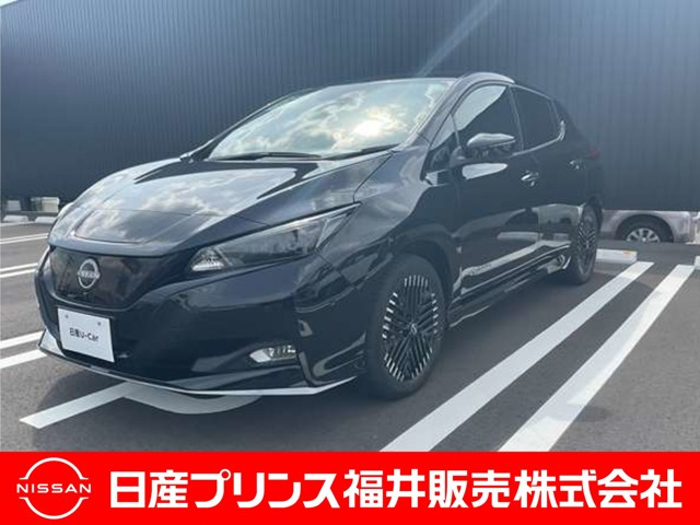 リーフe+ G