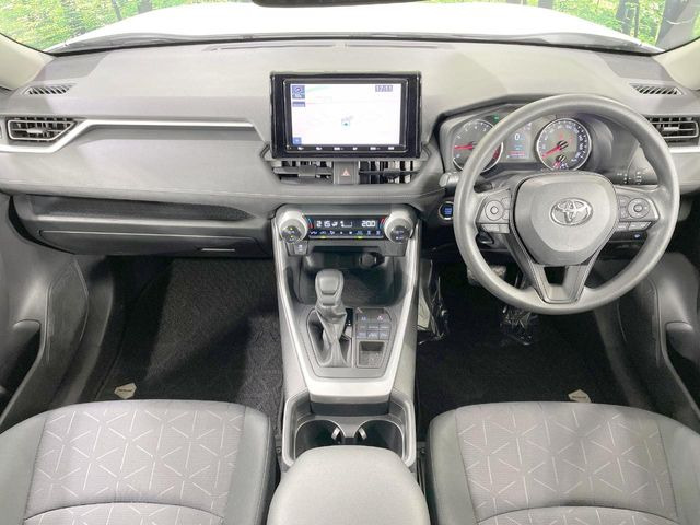 RAV42.0 X