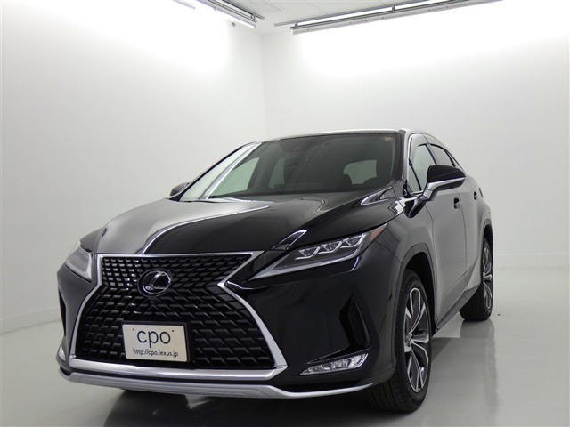 RX300 バージョンL