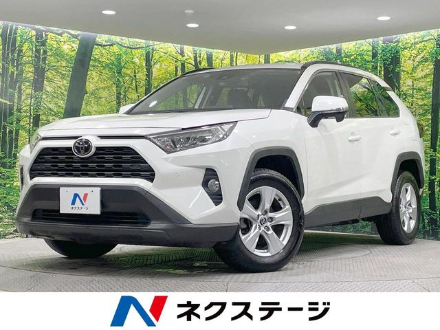 RAV42.0 X