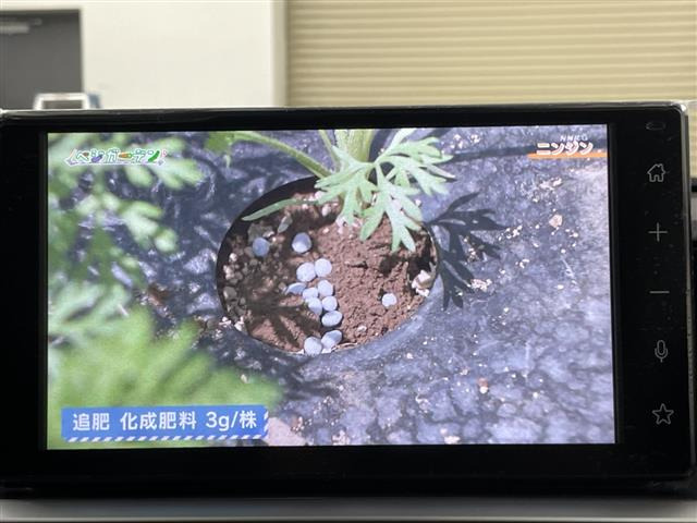 ライズ1.0 Z