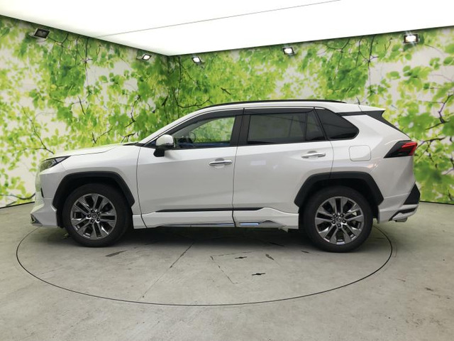 RAV42.0 G Zパッケージ 4WD