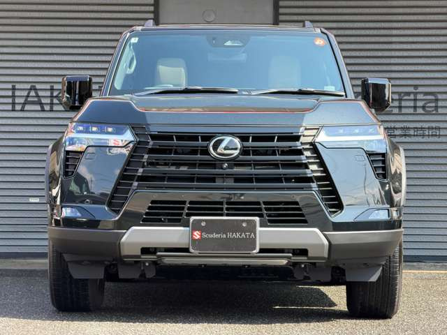 �O��t��LED�w�b�h�����v(���[�E�n�C�r�[��)/LED�t�����g�^�[���V�O�i�� �����v/LED�N���A�����X�����v/LED�f�C�^�C�������j���O�����v/LED�t�H�O�����v(�t�����g)/