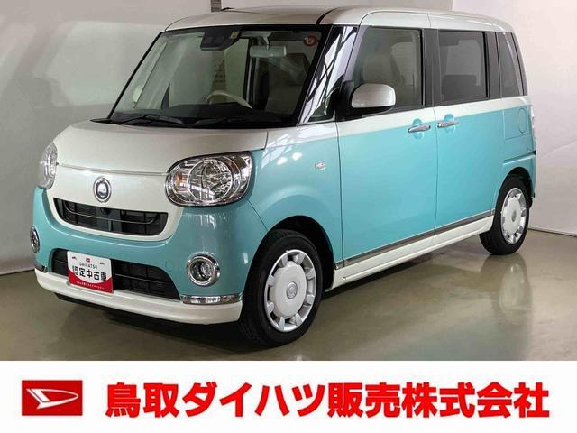 ムーヴキャンバスX リミテッド メイクアップ SAIII