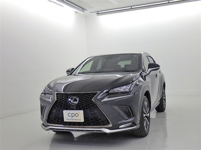 NX300 Fスポーツ