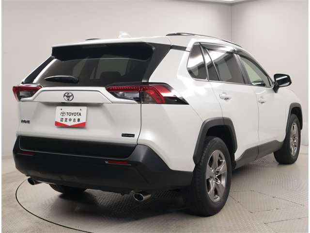 RAV42.0 X
