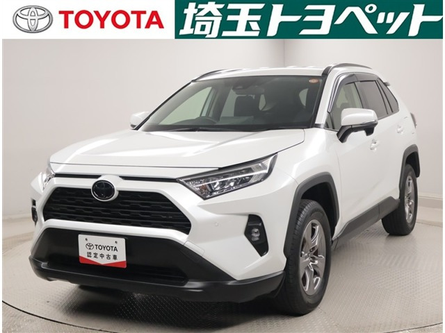 RAV42.0 X