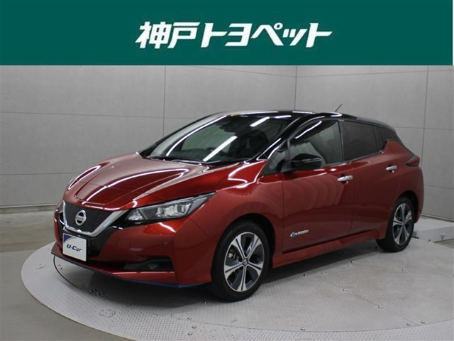 リーフe+ X