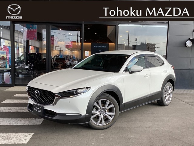 CX-302.0 20S プロアクティブ ツーリングセレクション