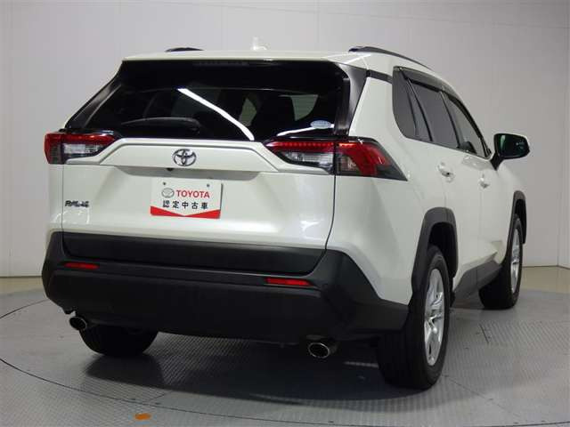 RAV42.0 X