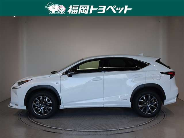 NX300h Fスポーツ