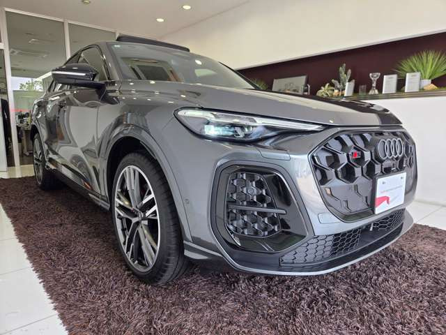 SQ5スポーツバック3.0 4WD
