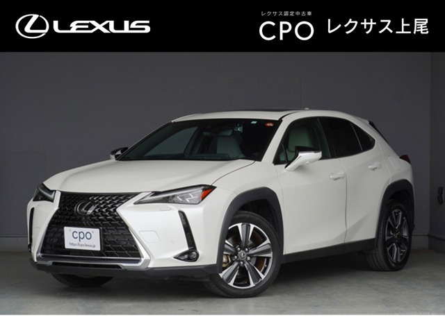 UX250h バージョンL