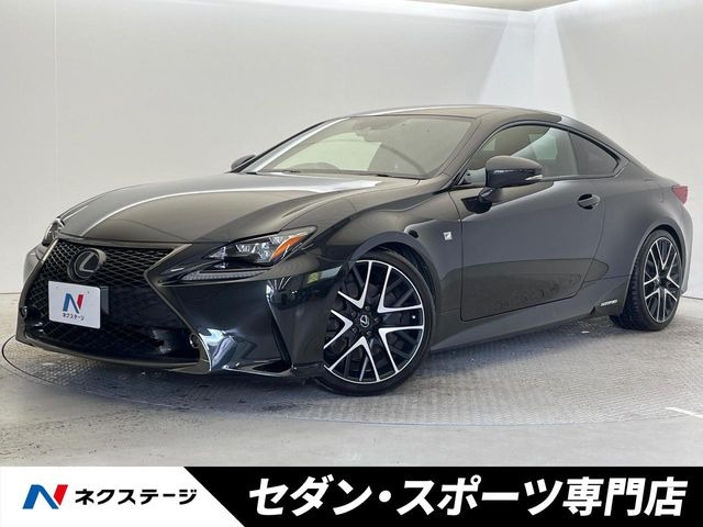 RC(���N�T�X) 300h F�X�|�[�c �v���C���u���b�N ���Îԉ摜