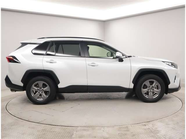 RAV42.0 X