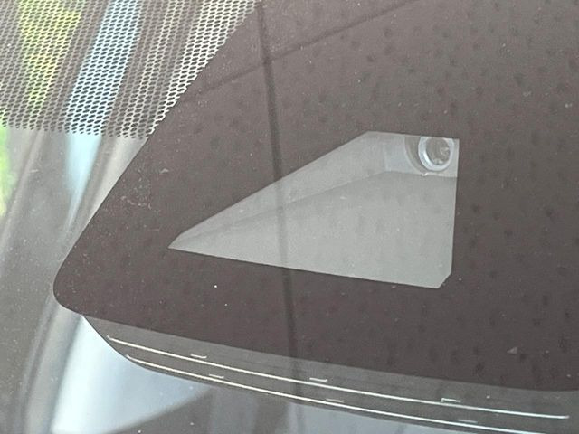 RAV42.0 X