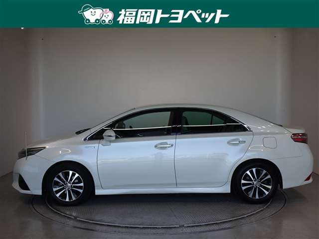 SAI2.4 S Cパッケージ
