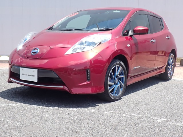 リーフ30kWh X エアロスタイル サンクス エディション
