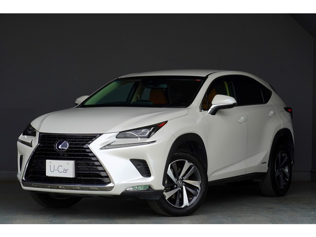 NX300h バージョンL