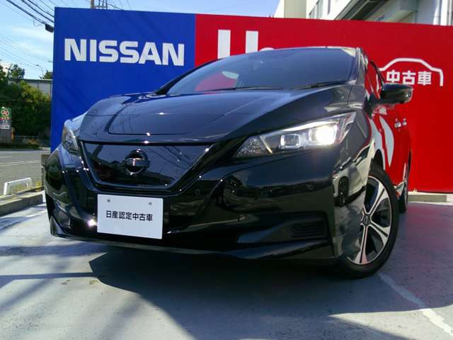 リーフ