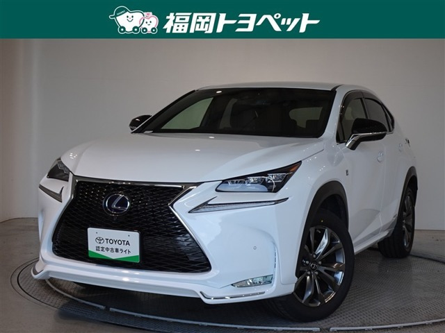 NX300h Fスポーツ