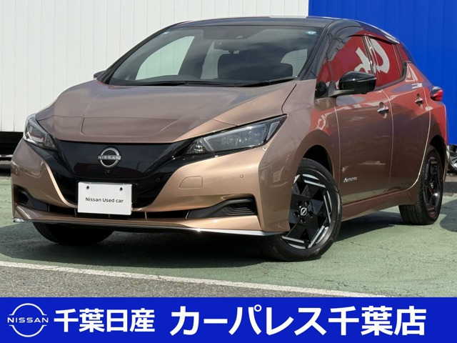 リーフe+ X