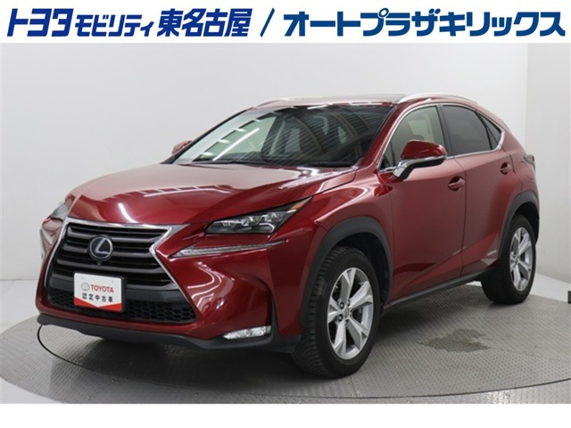 NX300h バージョンL