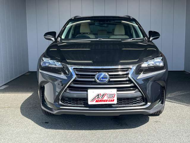 NX300h Iパッケージ 4WD