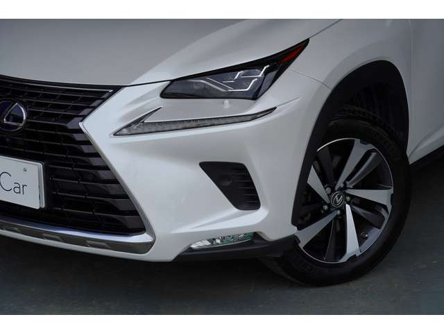 NX300h バージョンL