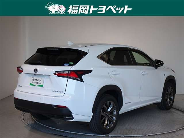 NX300h Fスポーツ