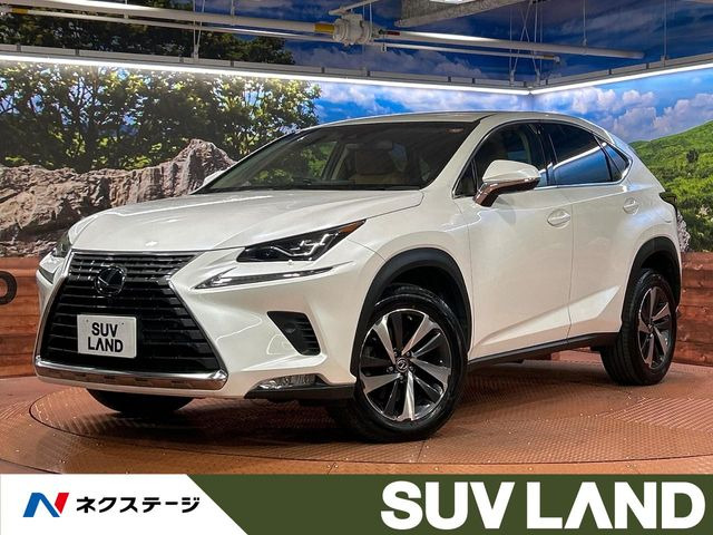 NX200t Iパッケージ