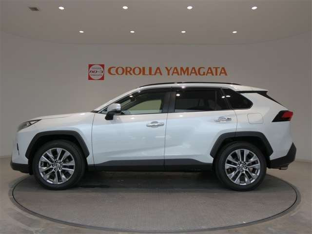 RAV4