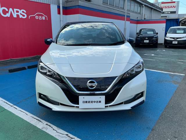 リーフG