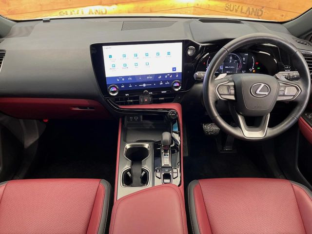 NX250
