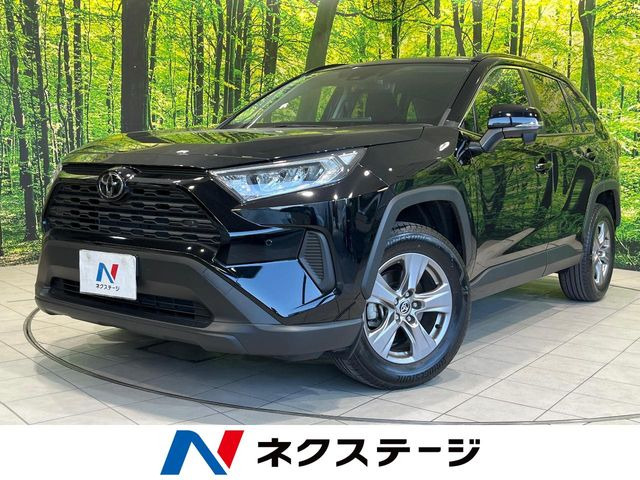 RAV42.0 X