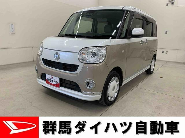 ムーヴキャンバスG メイクアップ SAIII
