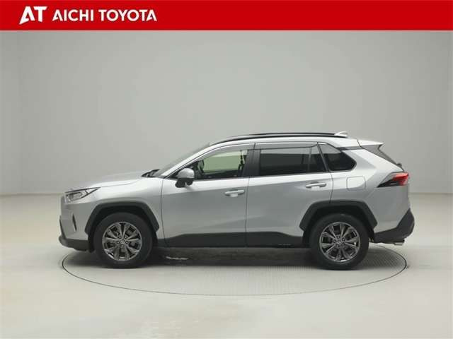 RAV42.0 X