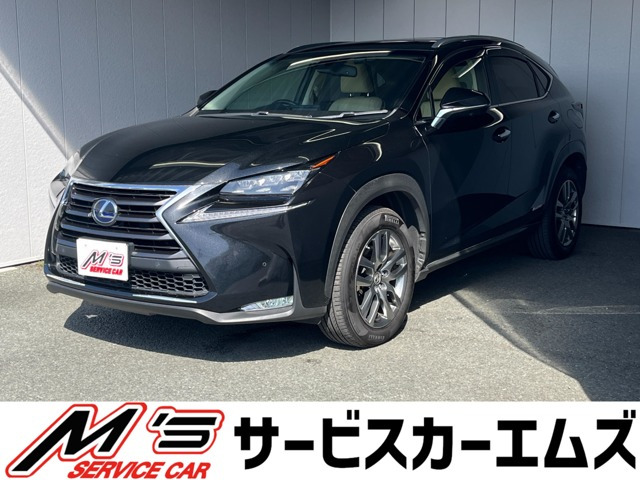 NX300h Iパッケージ 4WD