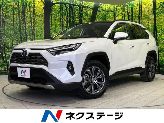 RAV42.5 ハイブリッド G E-Four 4WD