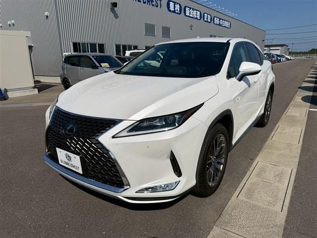 RX300