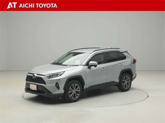 RAV42.0 X