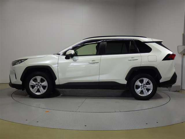 RAV42.0 X